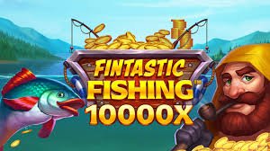 dk999 login