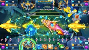 dk999 login